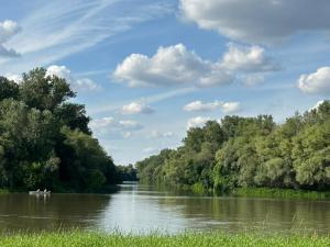 einen Fluss mit Bäumen und einem Boot im Wasser in der Unterkunft Jókai 10 Vendégház Csongrád in Csongrád