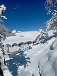 Billede fra billedgalleriet på Rose Studio Cottage at Mashobra's PrivateHeritage i Mashobra