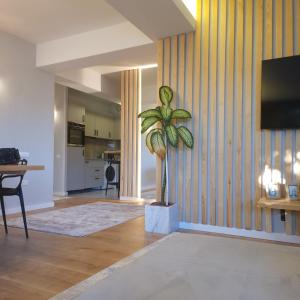 Køkken eller tekøkken på Apartament elegant cu terasă