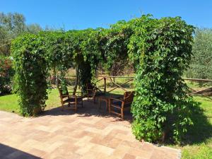 a pergola with two chairs and a table under it at Terre di Cornossa in Marta