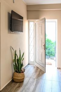 スーニオにあるMarina's dream houseの植物のあるリビングルーム(テレビ付)