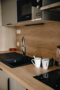 Dapur atau dapur kecil di Le Bail - 4 couchages - Vue sur Vouvant
