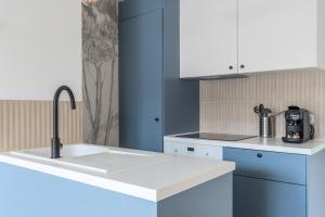 een keuken met een witte wastafel en blauwe kasten bij Renovated 3-bedroom flat on the Grand Place in Lille +26 foto's