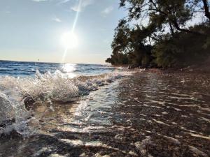 Φυσικό τοπίο κοντά σε αυτό το διαμέρισμα