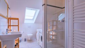 un bagno con lavandino, WC e doccia di Haus Amber Glowe a Glowe