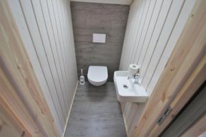 ein Badezimmer mit weißer Toilette und Waschbecken in der Unterkunft Wildgans 271 in Mirow