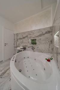 Vannituba majutusasutuses Lisa Zemun Spa Apartment