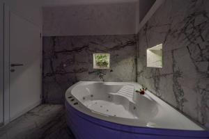 Vannituba majutusasutuses Lisa Zemun Spa Apartment