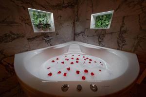 Foto sihtkohas Zemun asuva majutusasutuse Lisa Zemun Spa Apartment galeriist