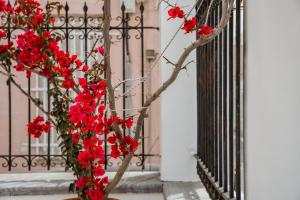 a branch with red flowers in front of a fence at Archontiko Eleni Hotel in Andros