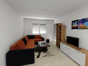 TV a/nebo společenská místnost v ubytování Apartman Petrovic 4