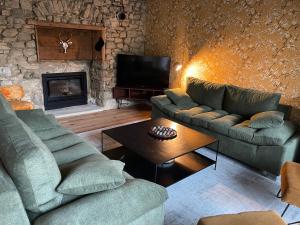 a living room with two couches and a fireplace at La Grange d'Annalys in Granges-Narboz