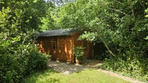a small wooden cabin in the middle of a forest at Roseland Valley Retreat in Tregoney