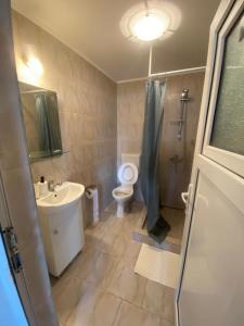 a bathroom with a toilet and a sink and a shower at Pensiunea Blue House in Vadu +16 photos