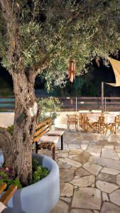 Zahrada ubytování Pension Oasis