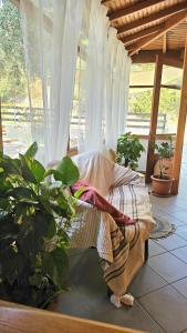 Zahrada ubytování Pension Oasis