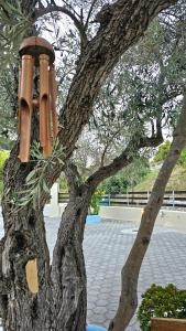 Fotografie z fotogalerie ubytování Pension Oasis v destinaci Votsi