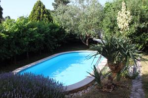 a blue swimming pool in a garden with trees at Drift Rock House in Sežana