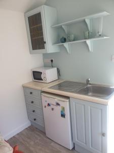 a small kitchen with a sink and a refrigerator at Kays Cottage in Galway