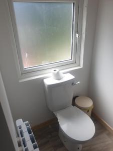 a white toilet in a bathroom with a window at Kays Cottage in Galway