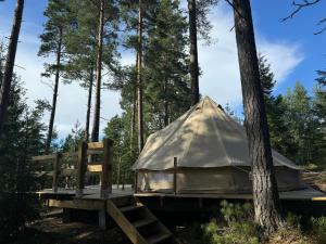 a yurt in the woods next to a tree at Tranan glamping in Svanhult