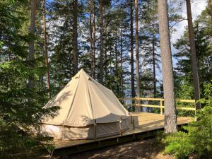 a tent sitting on a deck in the woods at Tranan glamping in Svanhult
