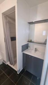 une salle de bain avec lavabo et douche dans l'établissement Bordeaux Mérignac appartement 2 Pièces - 2 Terrasses, à Mérignac