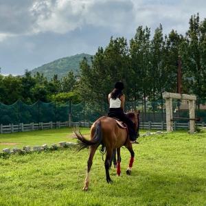 入住Satya Anantham Eco Retreat - Mystic Hotels的客人