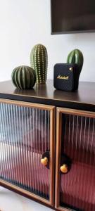 a wooden cabinet with cactuses on top of it at Casa Las Plataneras in Santa Maria de Guia de Gran Canaria