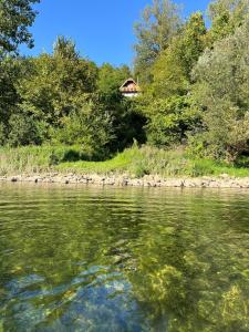 Gallery image of Vagabundo Home in Rogačica