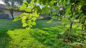Vonkajšia záhrada v ubytovaní Apartmani Fenestra -Zagorka