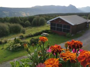 un ramo de flores delante de un granero en Eikre Fjellgård, en Hemsedal
