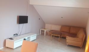 Μια τηλεόραση ή/και κέντρο ψυχαγωγίας στο Apartman Terasa