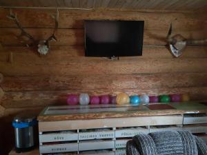 TV a/nebo společenská místnost v ubytování Jaama Puhkemaja
