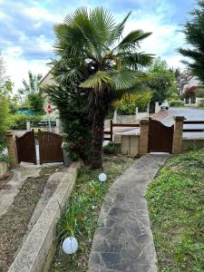 a palm tree in a garden with a walkway at Belle maison confortable in Montfermeil