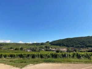 a view of a vineyard with a hill in the background at Blue swallow-Fuissé in Fuissé