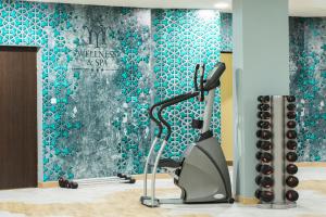 a gym with a treadmill and a wall with blue tiles at Hotel Mara in Baia Mare