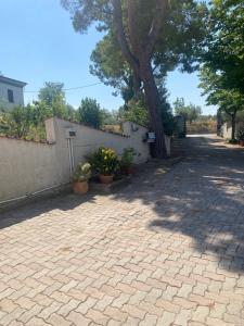 a brick driveway with a tree next to a wall at Lilium Maison in Canosa Sannita +8 photos