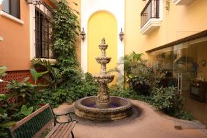 Zahrada ubytování HOTEL COLLI