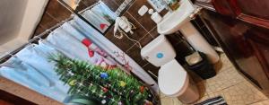 Afbeelding uit fotogalerij van Apartahotel & Gym Rondon in Tortuguero +34 foto's