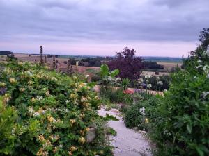 Paesaggio naturale nelle vicinanze del bed & breakfast