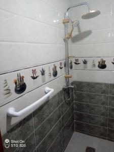 a shower with potted plants on the wall in a bathroom at Maison d'hôtes Oujda in Oujda