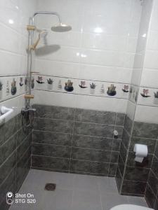 a bathroom with a shower and a toilet in it at Maison d'hôtes Oujda in Oujda