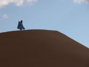 Mynd úr myndasafni af Le Drom'blanc í Mhamid