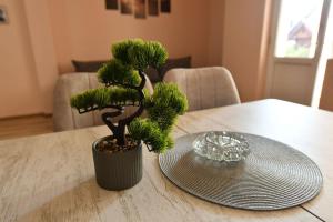 a small pine tree sitting on top of a table at Apartman Poezija in Bajina Bašta +10 photos