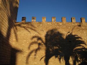 a shadow of a palm tree on a brick wall at Cas Ferrer Nou Hotelet in Alcudia