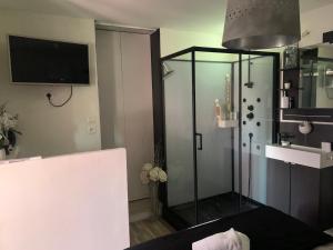 Koupelna v ubytování Chambre Lou Coraly
