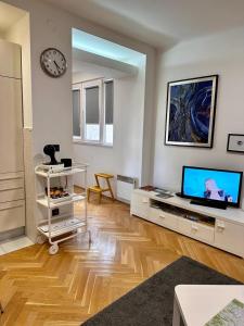 TV a/nebo společenská místnost v ubytování Apartments Mango Downtown