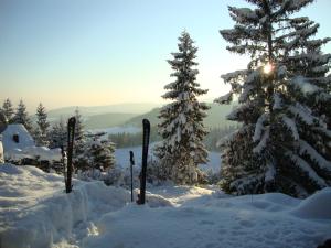 Foto dalla galleria di Holiday Home Tone a Frajhajm