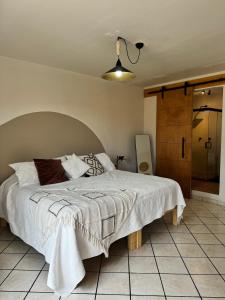a bedroom with a bed with a white comforter at CASA DAMIANA in Lagos de Moreno